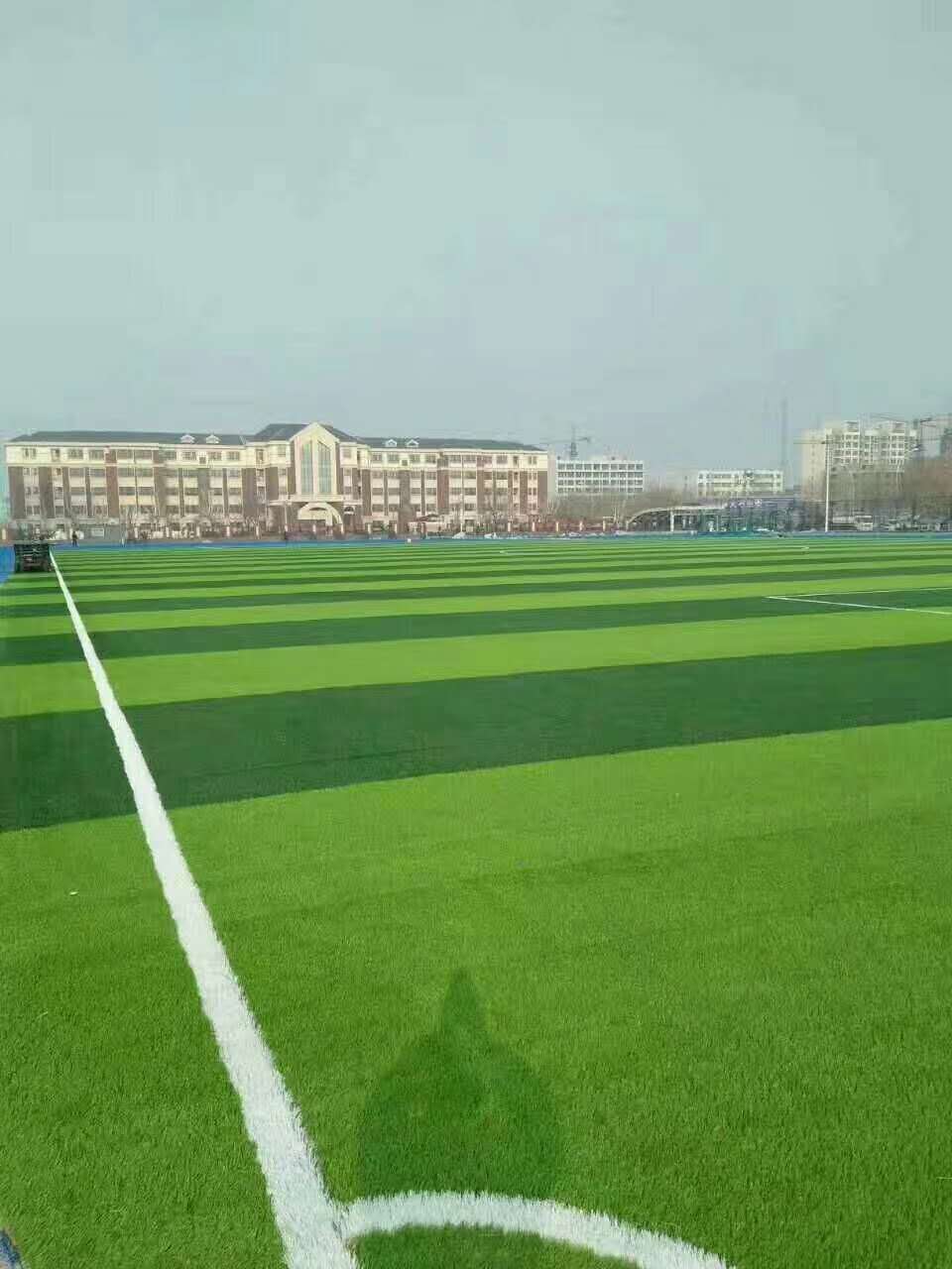 齐齐哈尔市硅pu球场仿真草坪 - 一站式服务